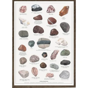 Strandsteine - Poster