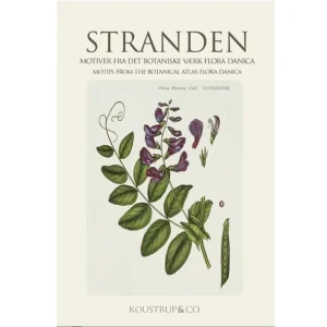 Der Strand - Kartenset